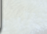 Asian Derma Clinic Skin MD and Facial Center Background